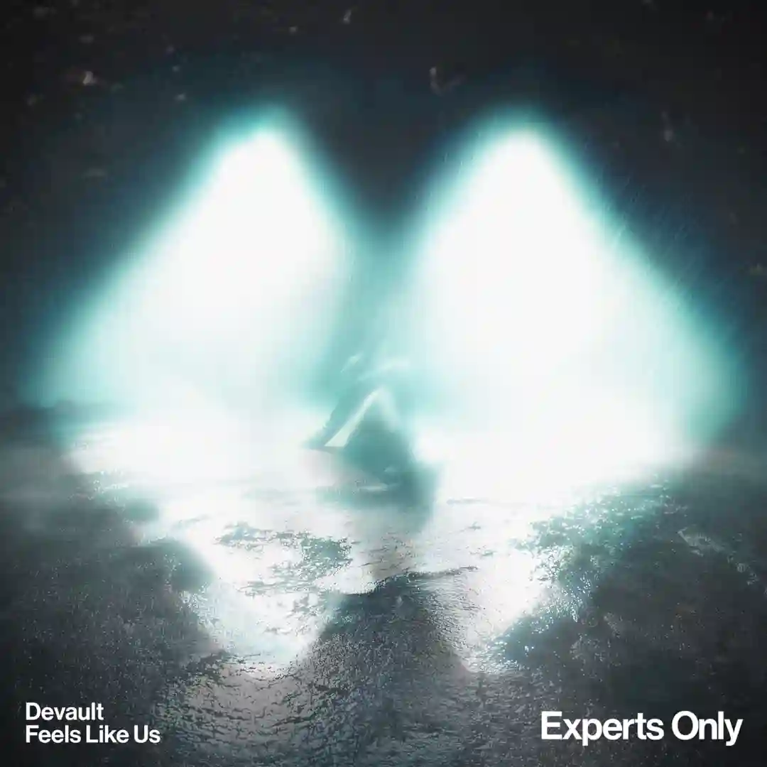Feels Like Us - Extended Mix cover