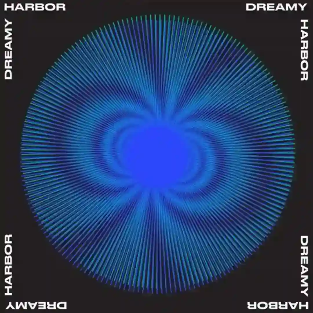 Direction Asymmetry cover