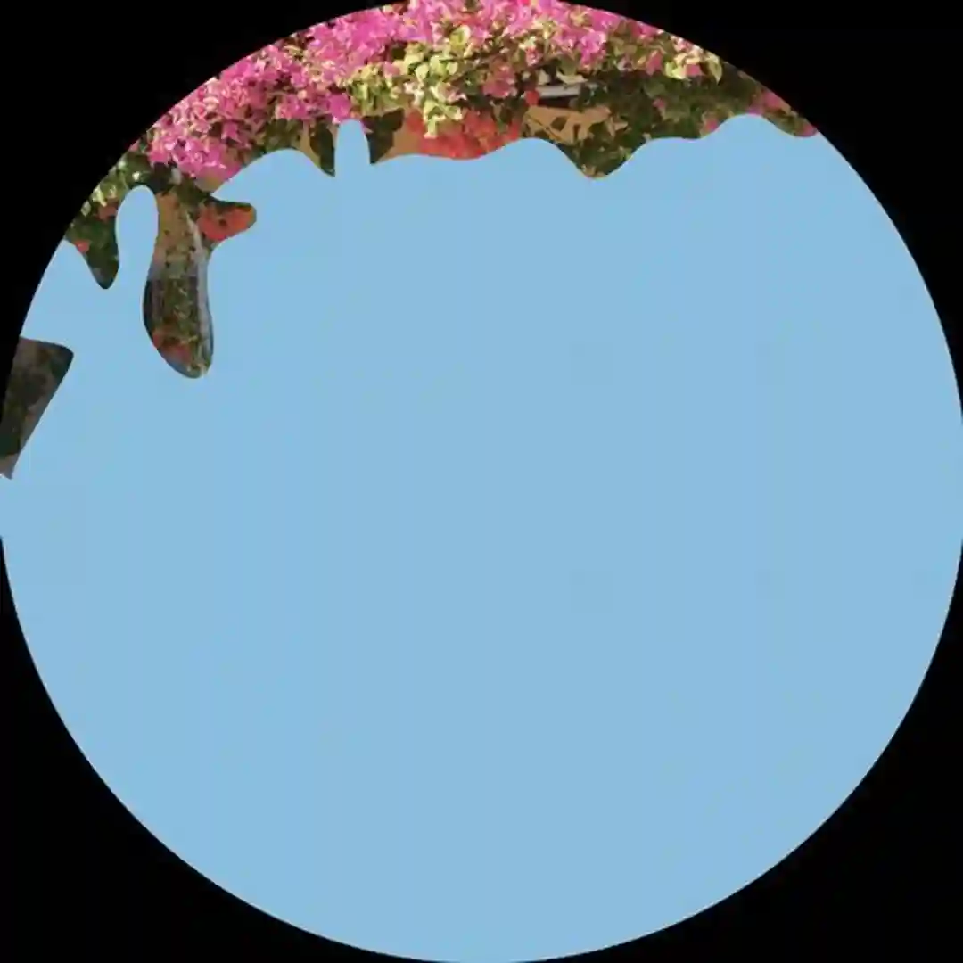 Still (Original Mix) cover