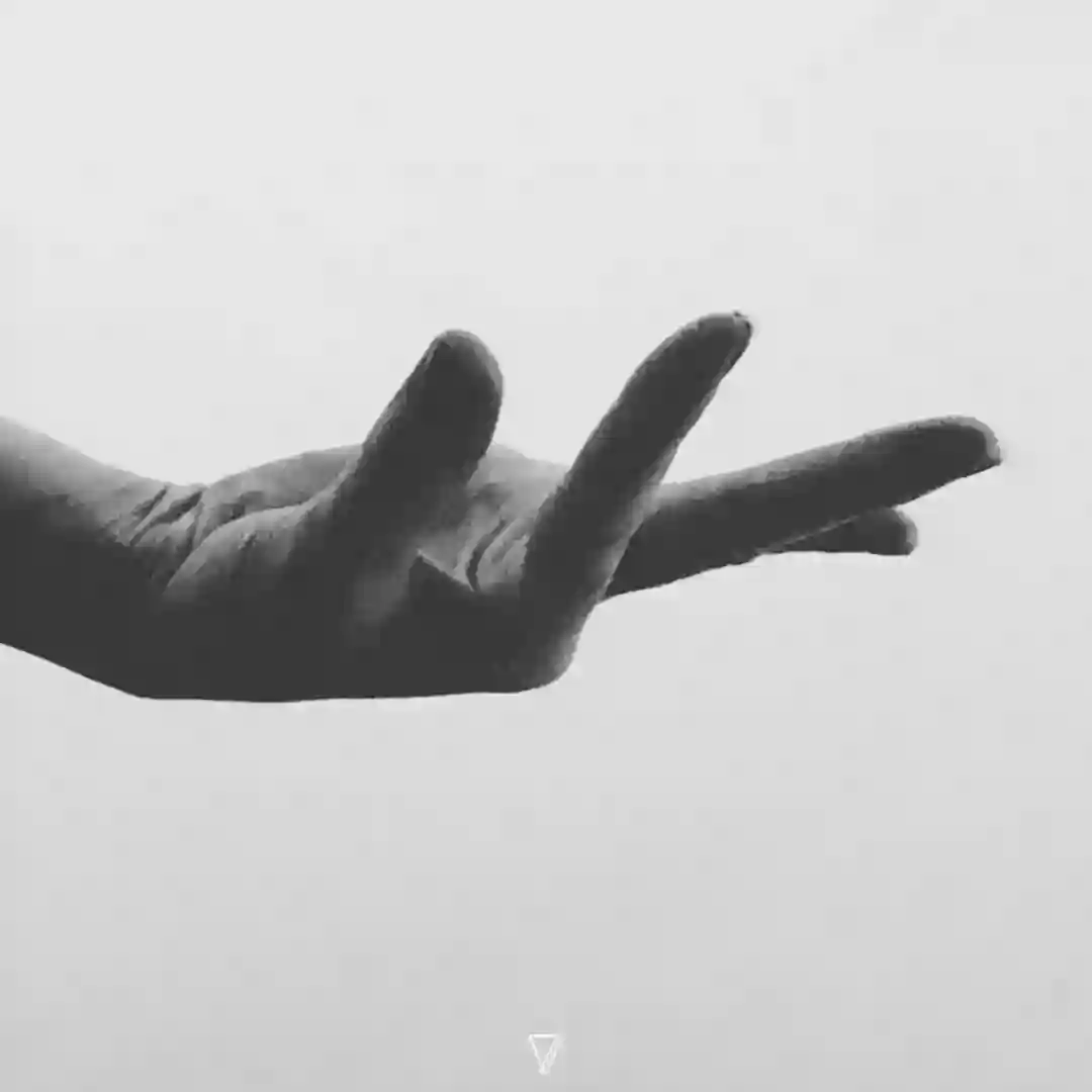 Perception cover