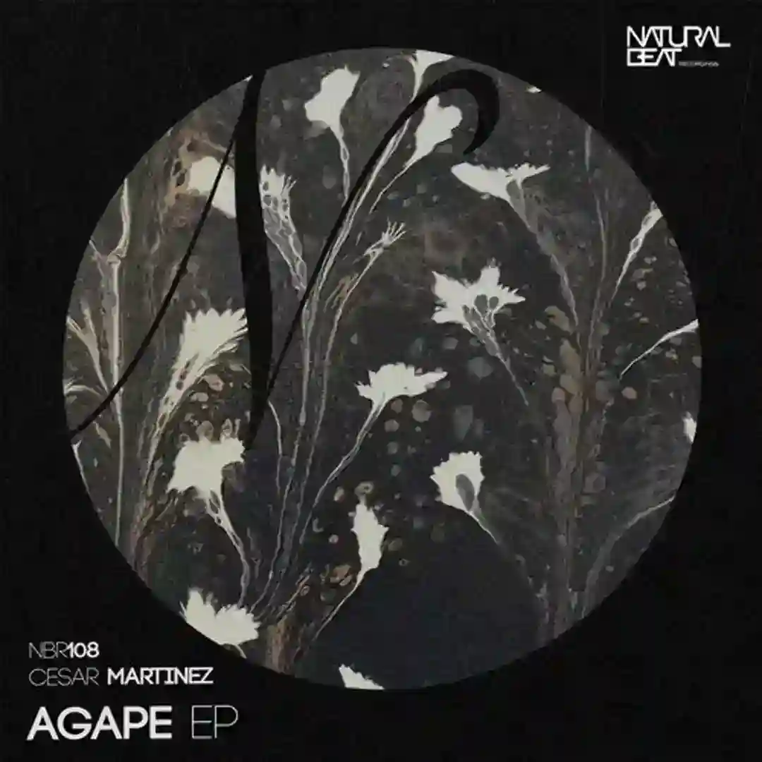 Sucedaneo (Original Mix) cover