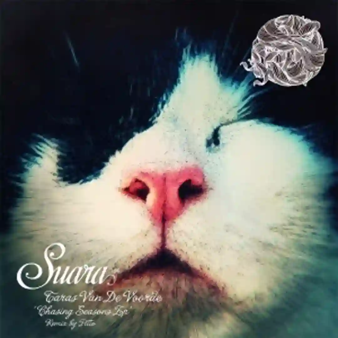 Chasing Winters (Pitto Remix) cover