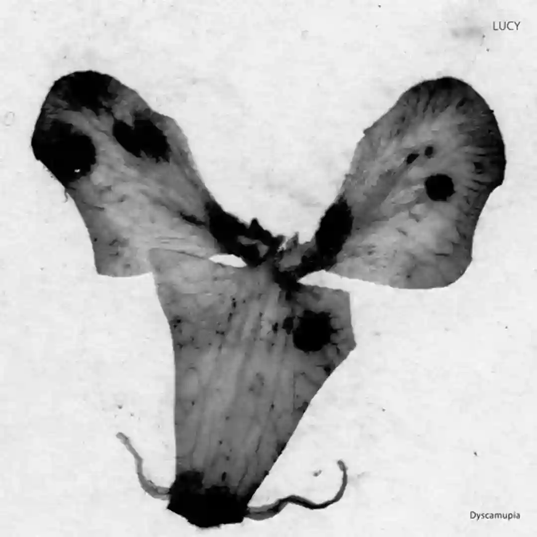 Dyscamupia (Paused) cover