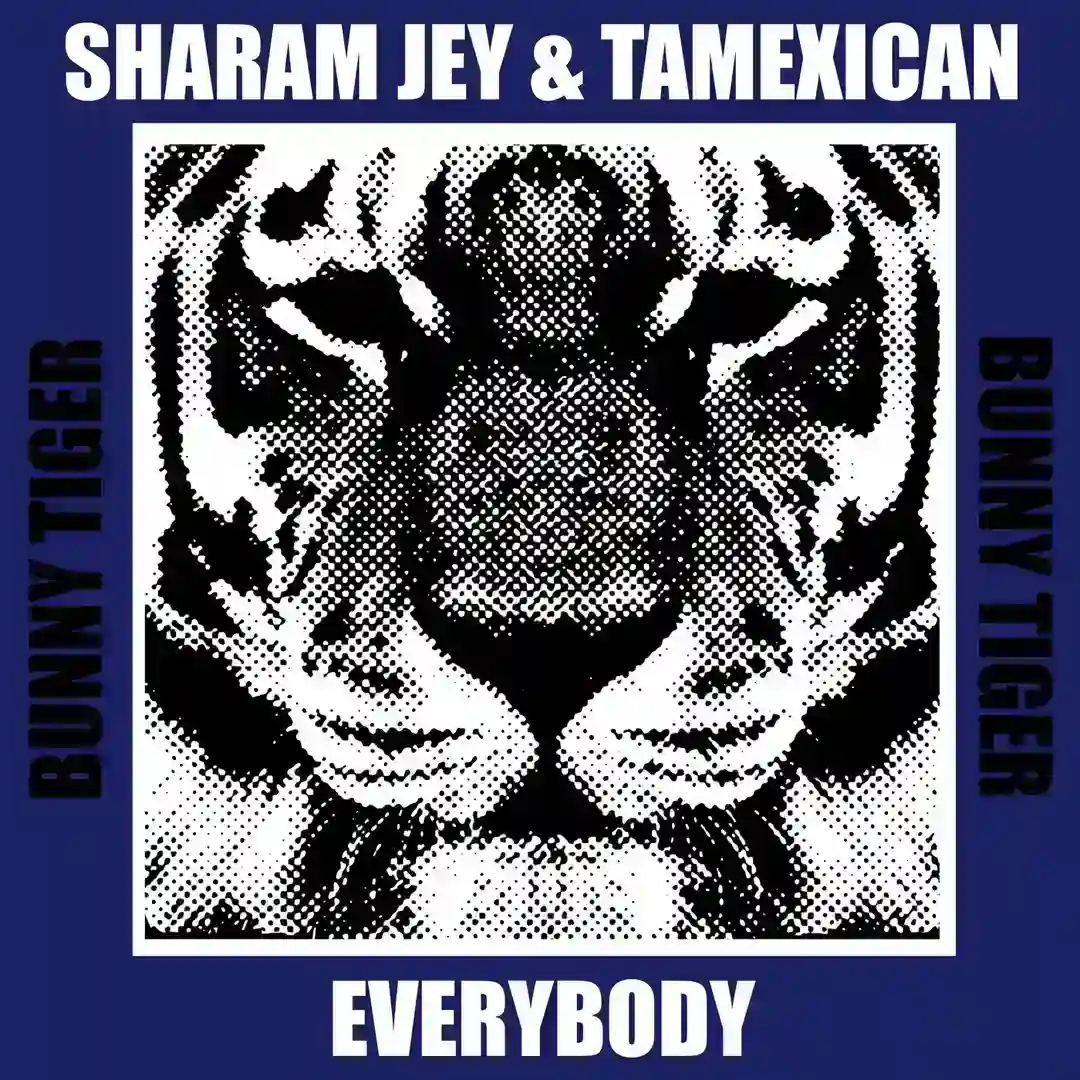 Everybody (Extended Mix) cover