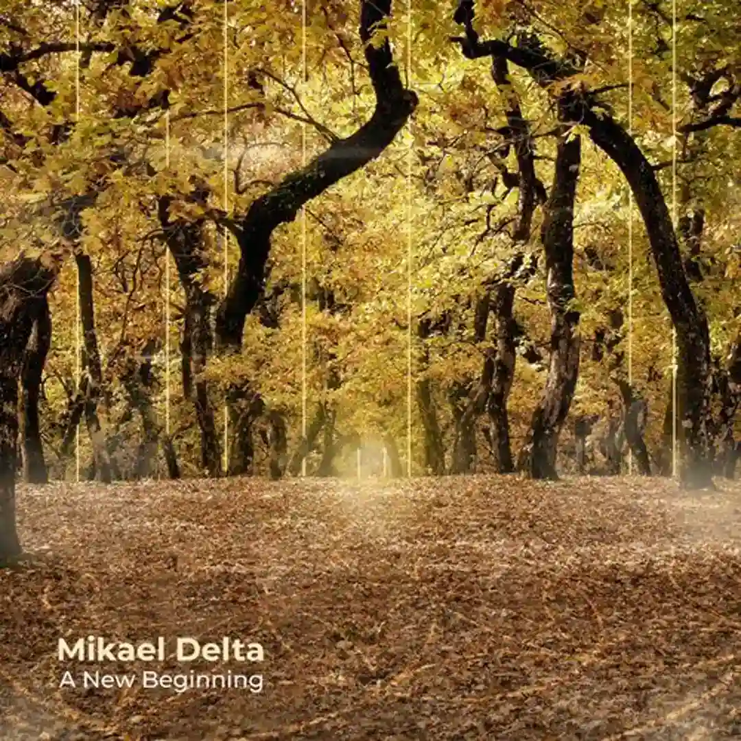 A New Beginning cover