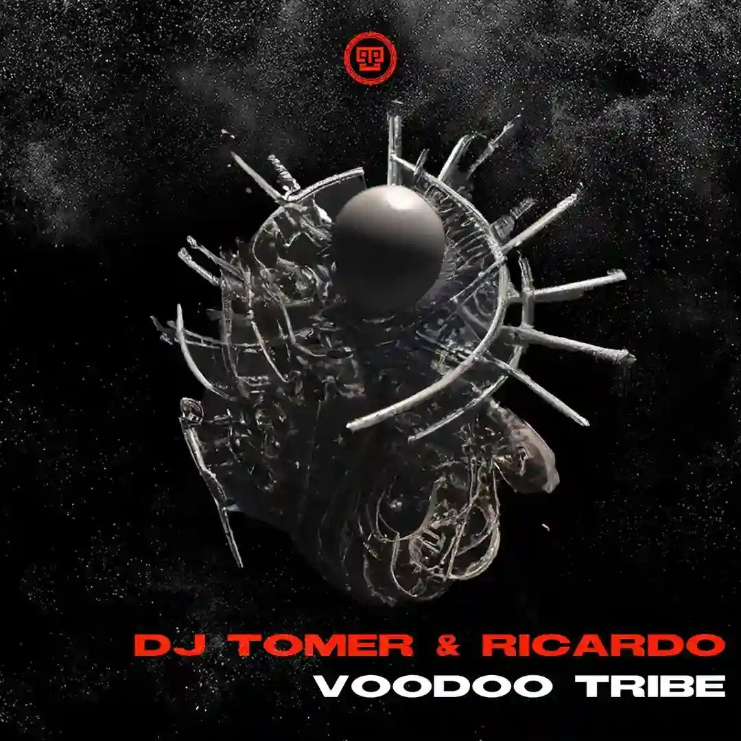 VooDoo Tribe (Original Mix) cover