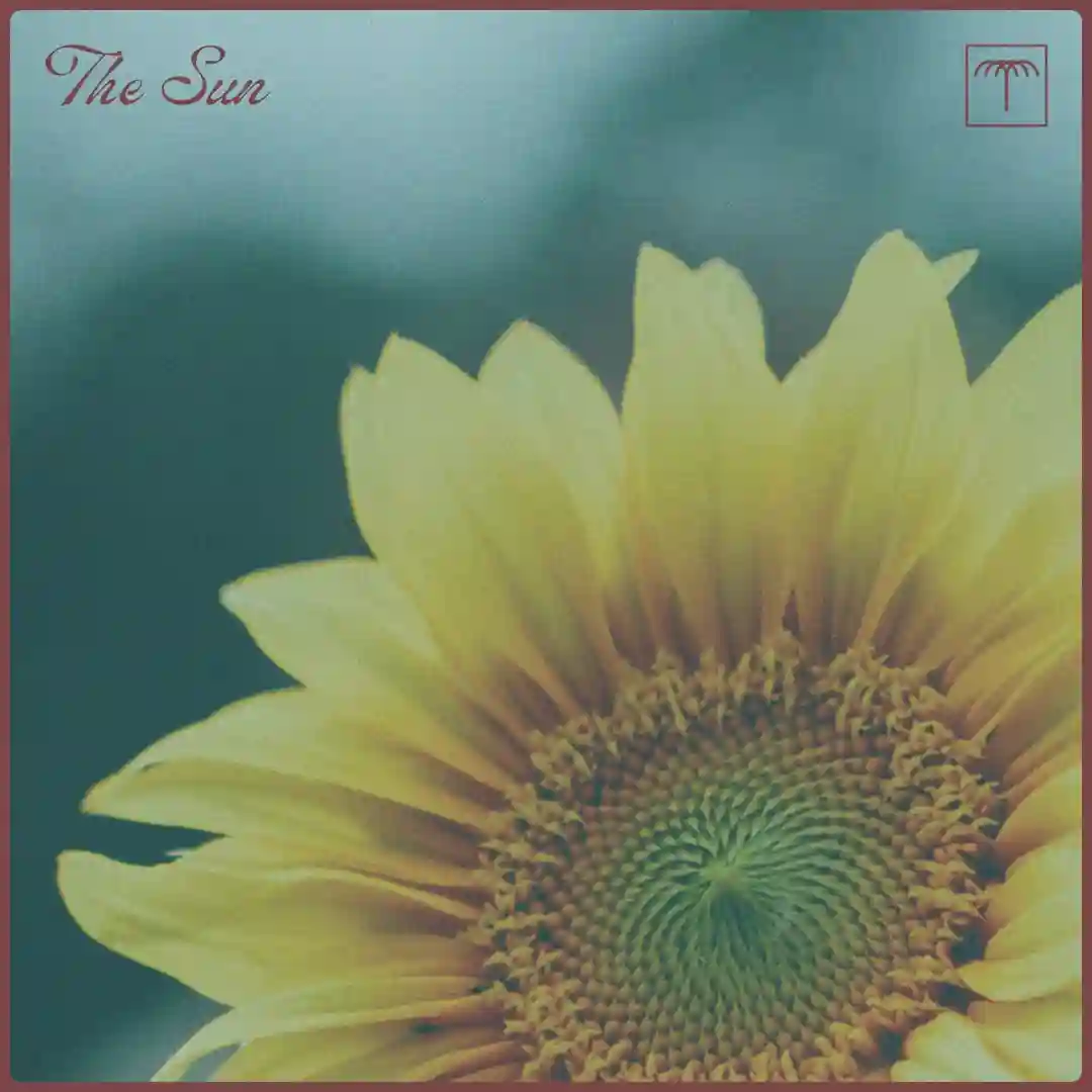 The Sun cover
