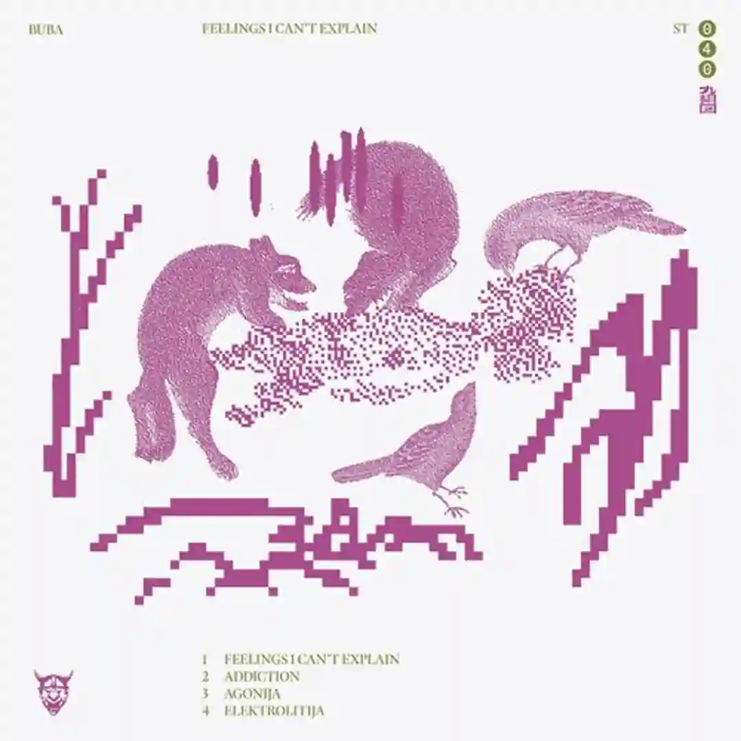 Feelings I Can’t Explain cover