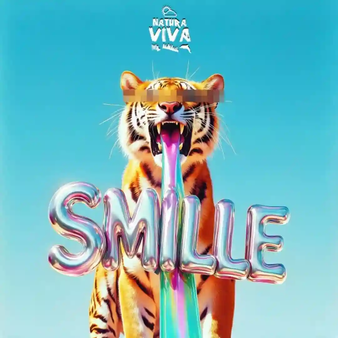 Smille (Original mix) cover