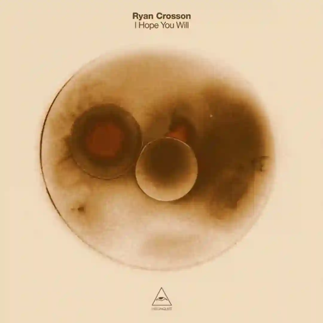 Favogo (Original Mix) cover