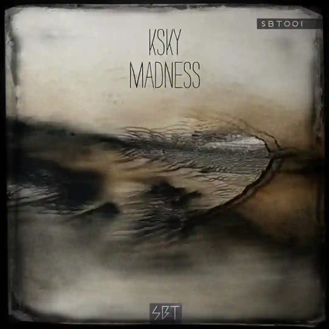 Madness (Original Mix) cover
