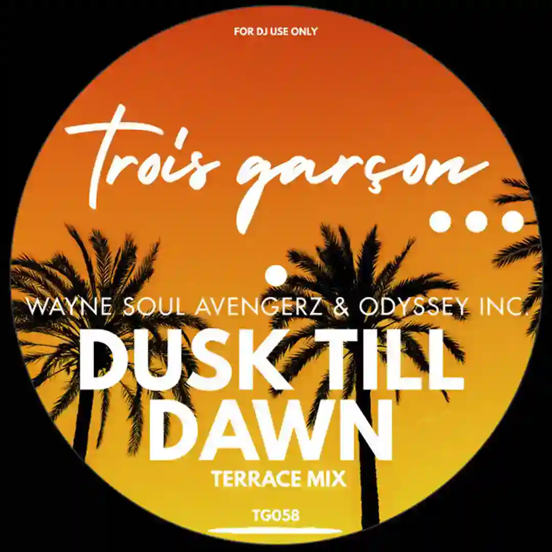 Dusk Till Dawn (Terrace Mix) cover