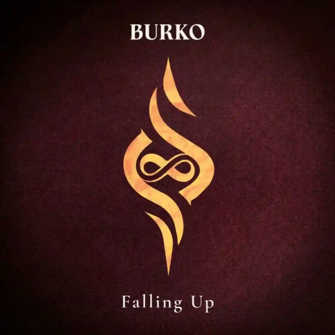 Falling Up cover