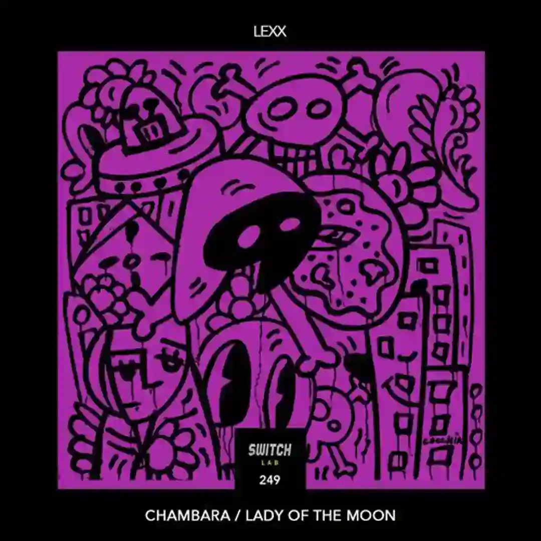 Lady Of The Moon cover