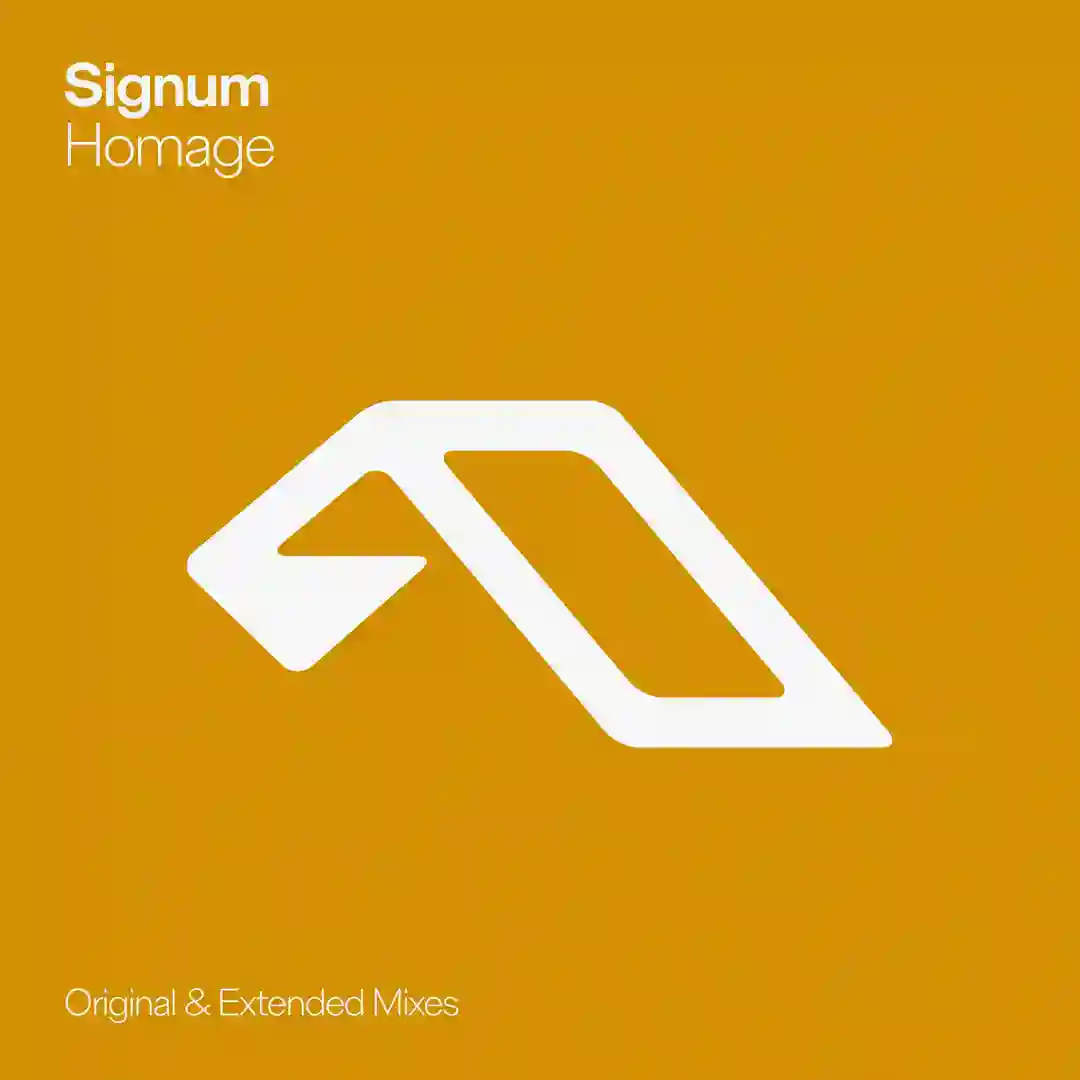 Homage (Extended Mix) cover