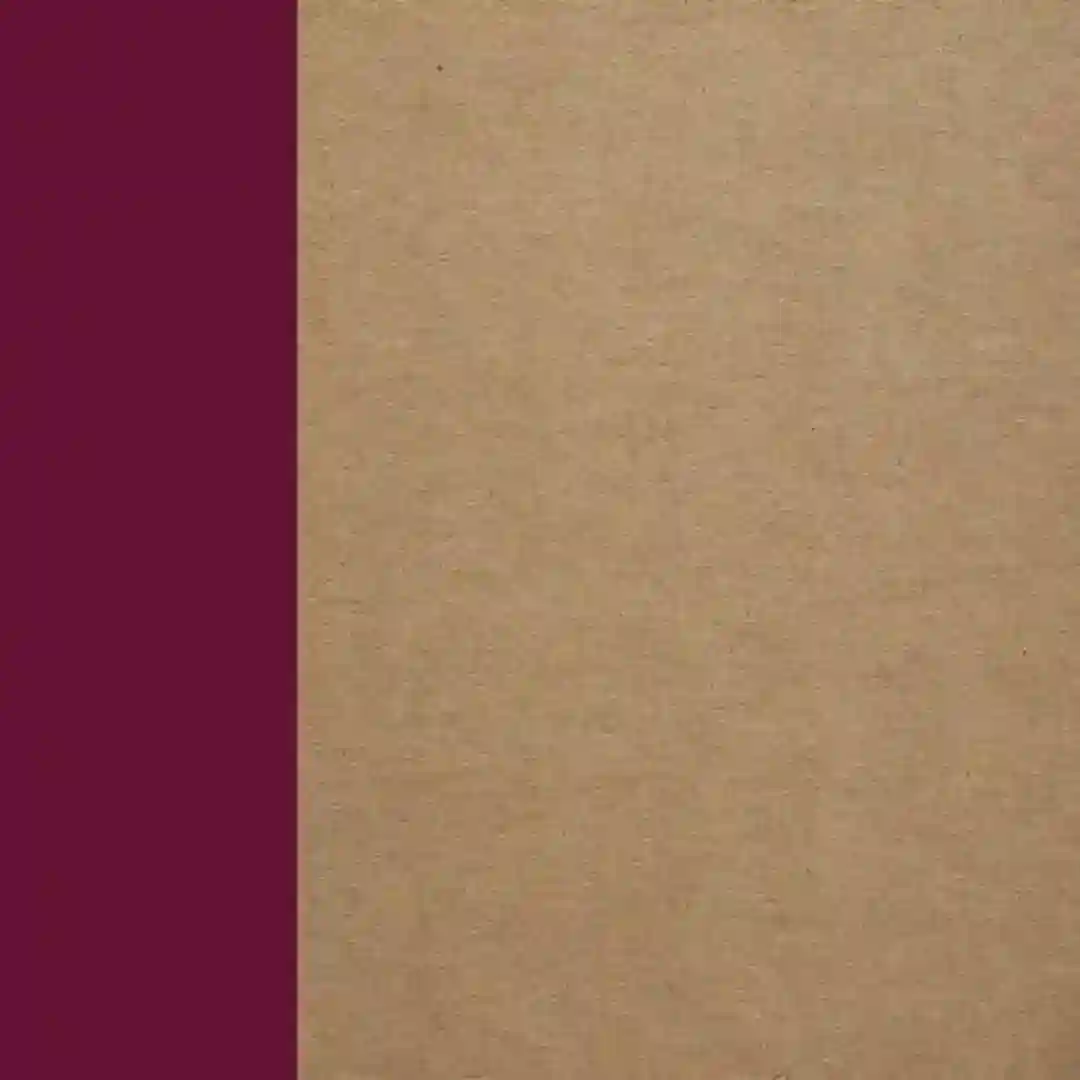 Geraas (Original Mix) cover