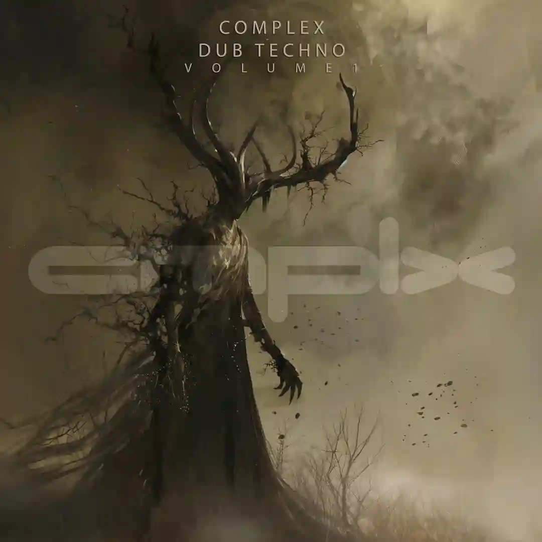 Masse und Distanz (Dimbidub Redux) cover