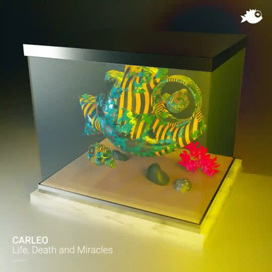 Life, Death and Miracles cover