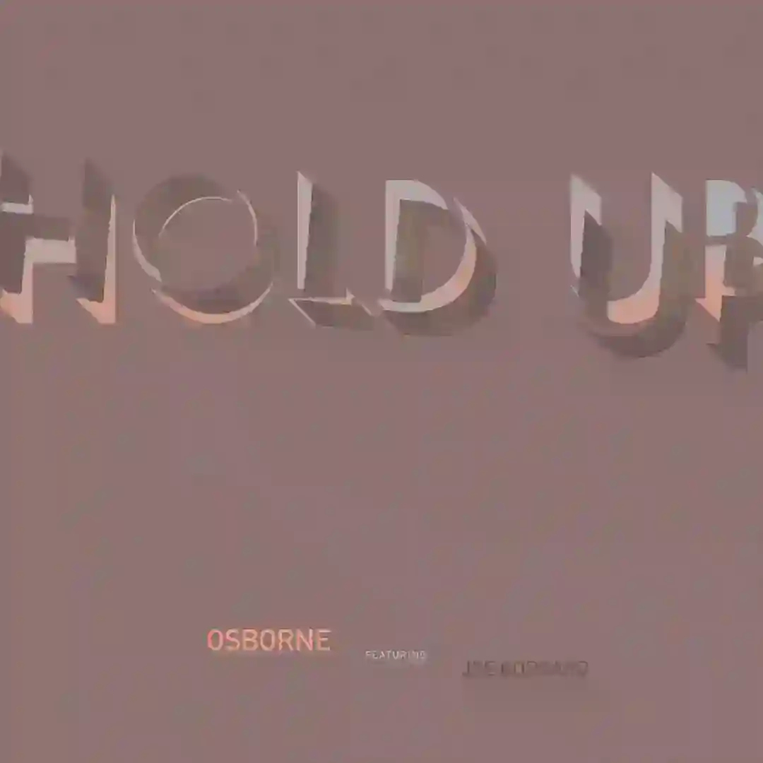 Hold Up (Instrumental) [feat. Joe Goddard] cover