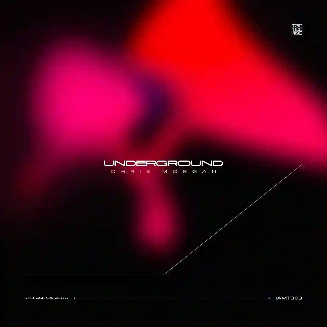 Techno (Original Mix) cover