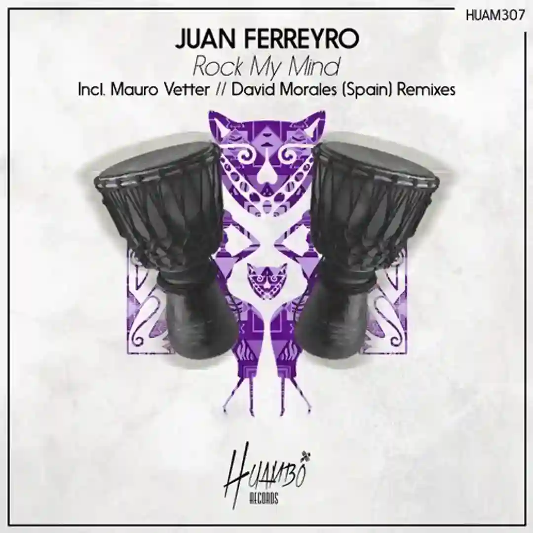 Rock My Mind (Mauro Vetter Remix) cover