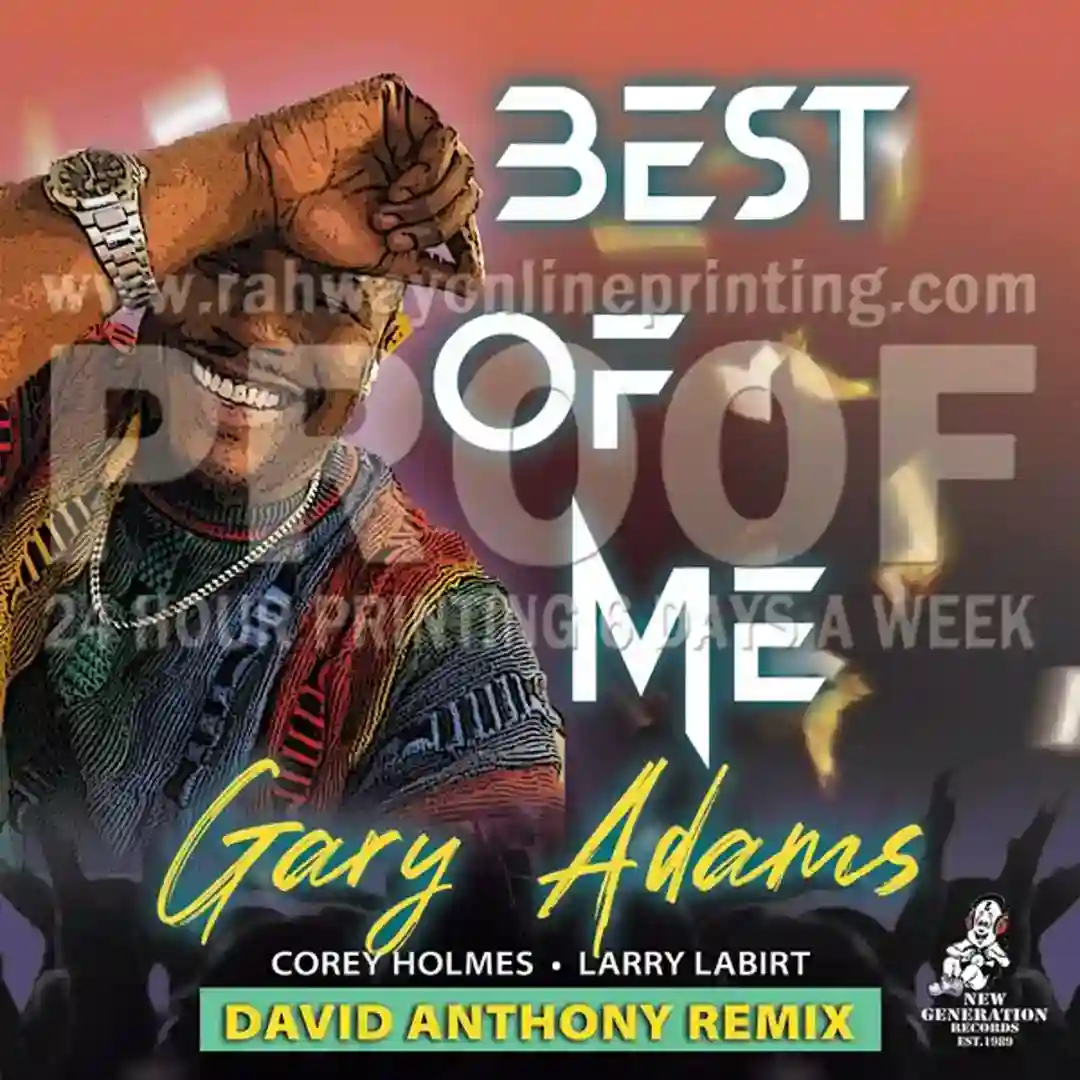 Best Of Me (David Anthony Remixes) cover