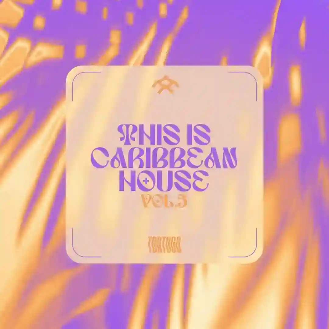 Mini All Stars (Original Mix) cover
