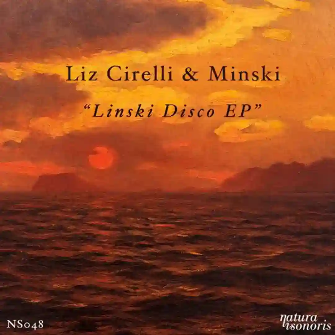 Linski Disco EP cover
