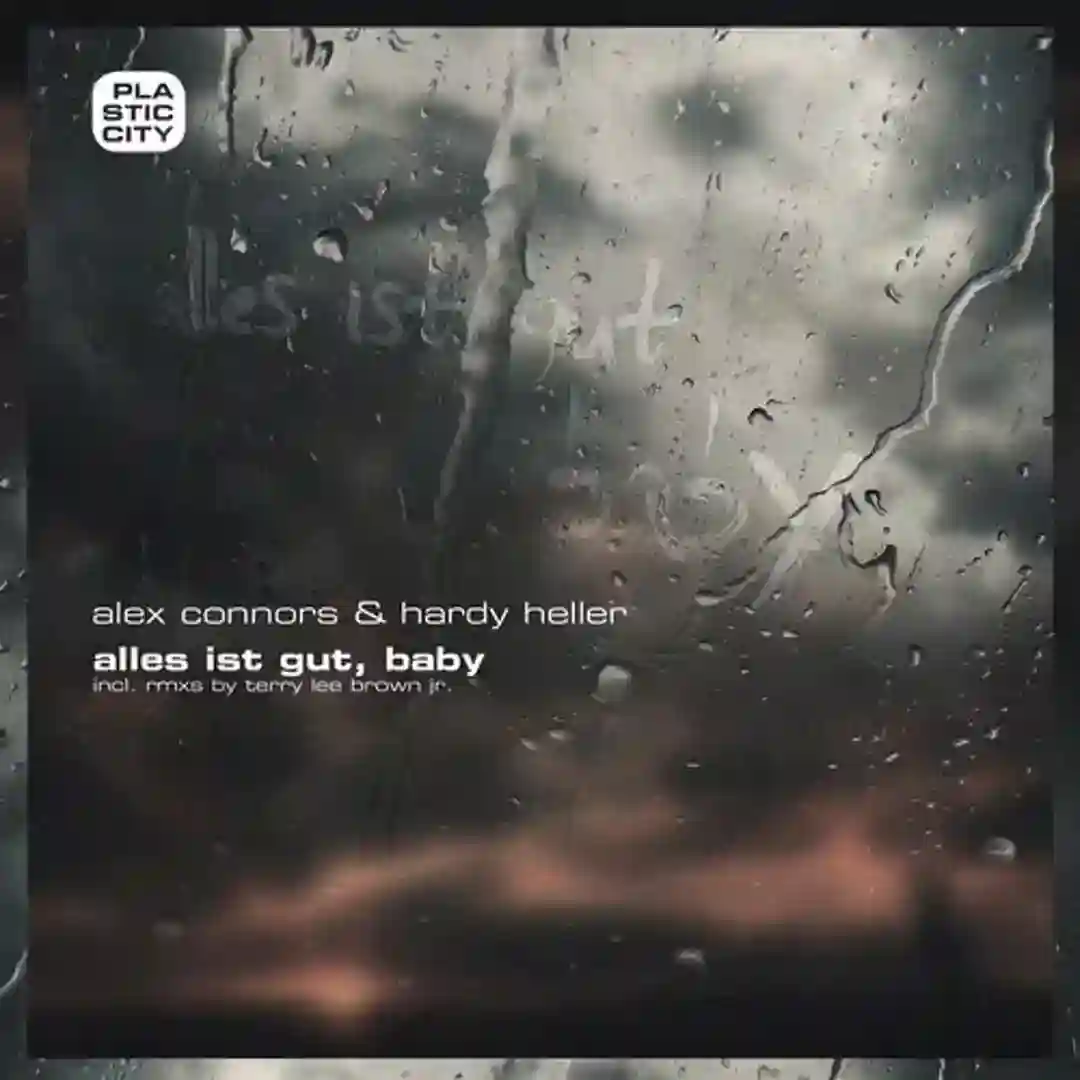 Alles ist gut, Baby cover