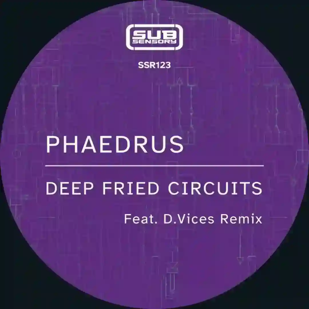 Fritz and Chips (D.Vices Work Hard Remix) cover