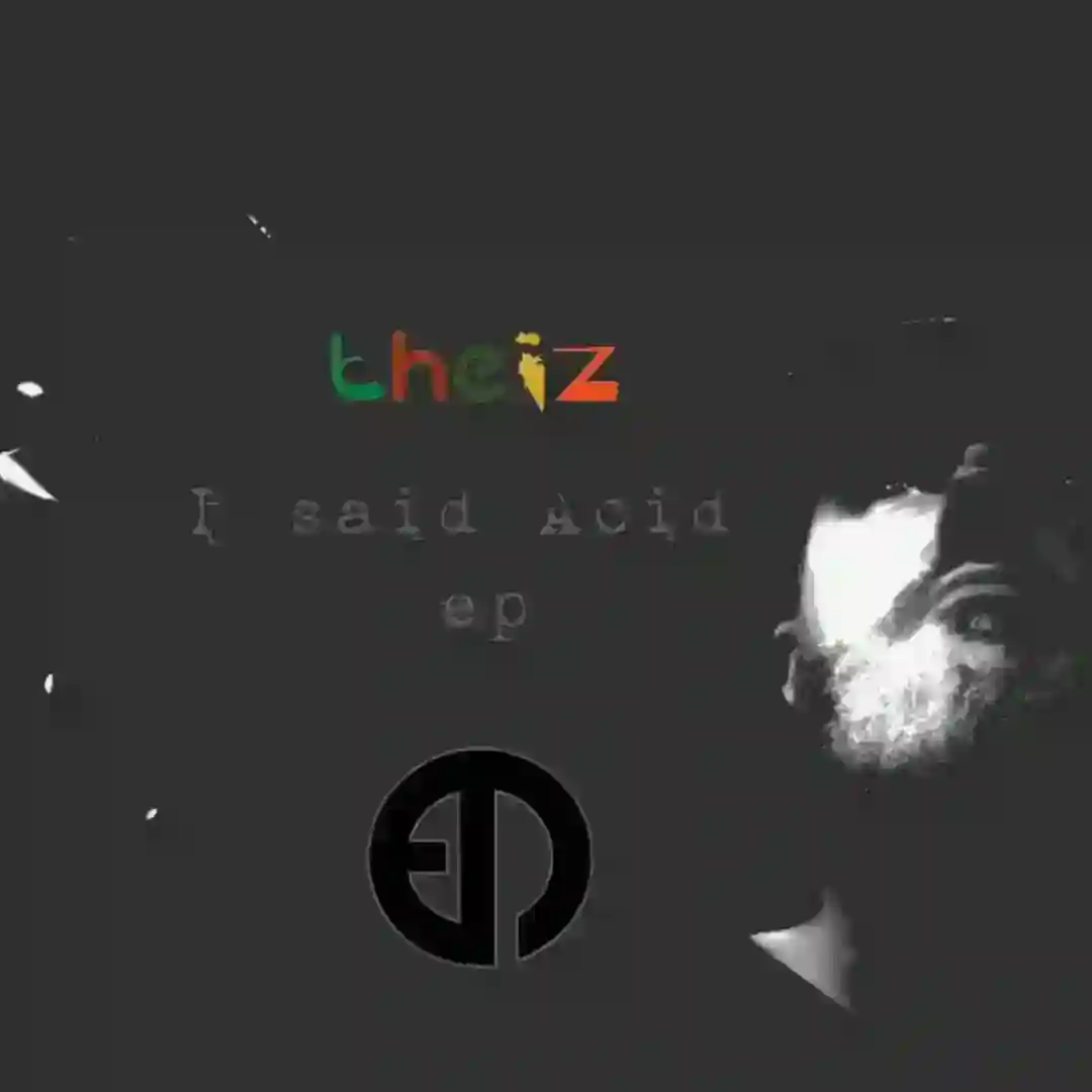 The Bouncing Pony (Original Mix) cover