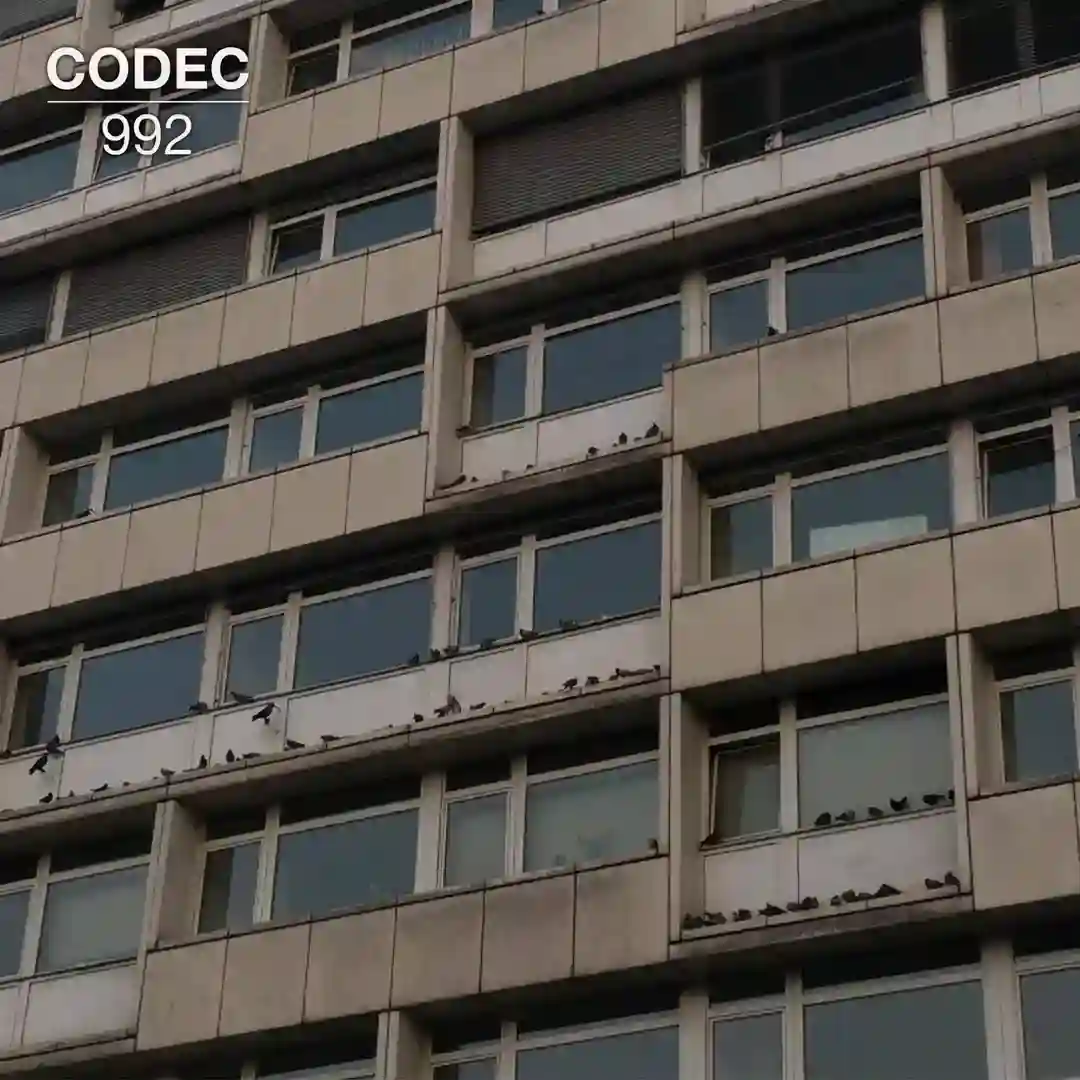 Decoded Identity (Matrixxman Alternate Mix) cover