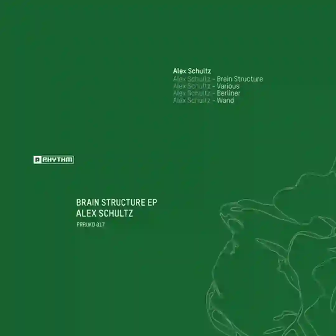 Brain Structure (Original Mix) cover