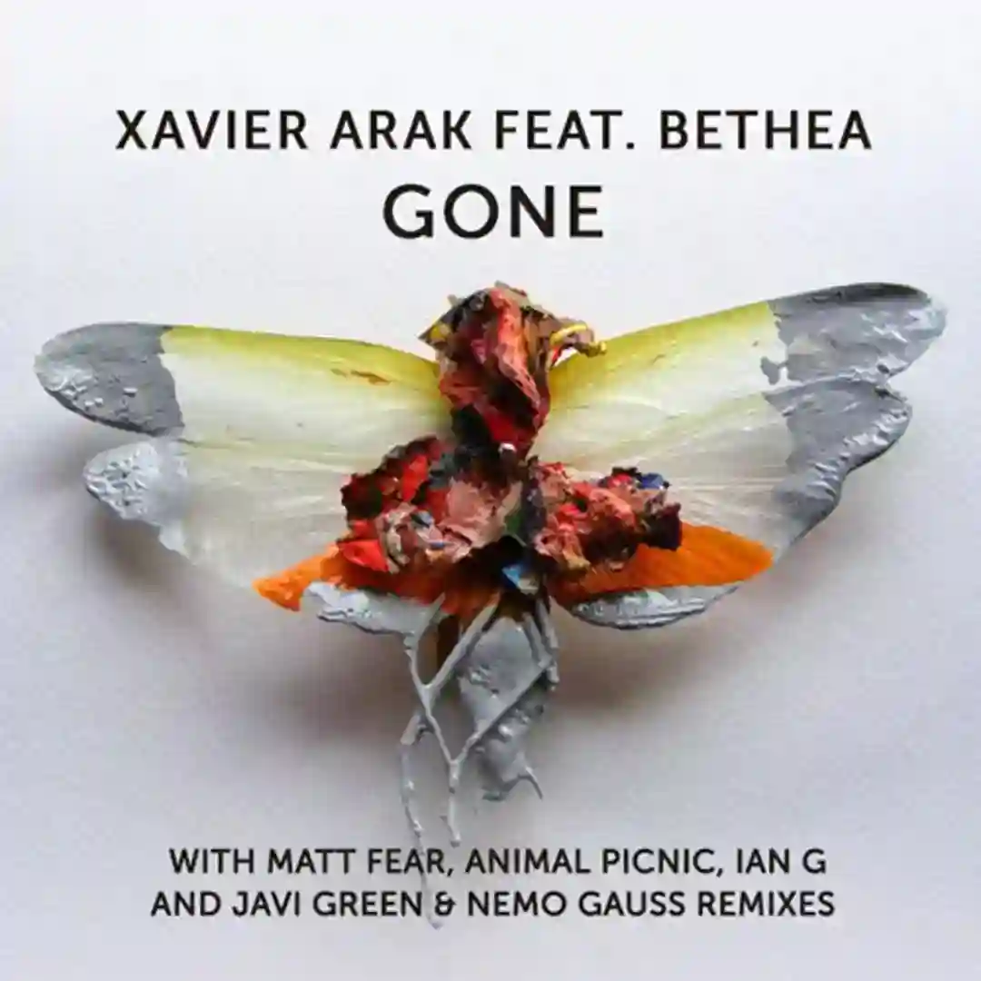 Gone feat. Bethea (Matt Fear Remix) cover