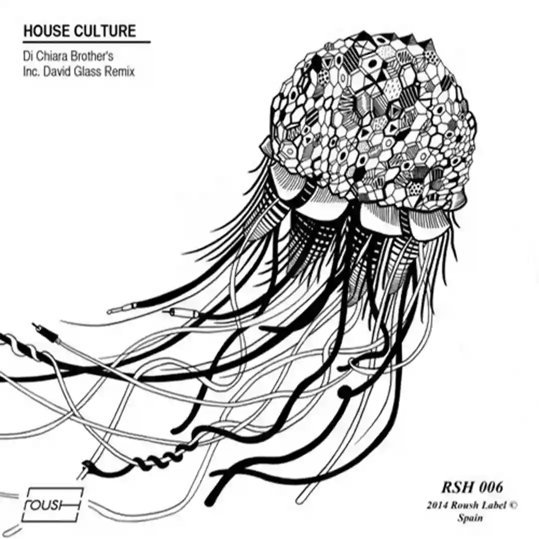 House Culture (Remix) cover