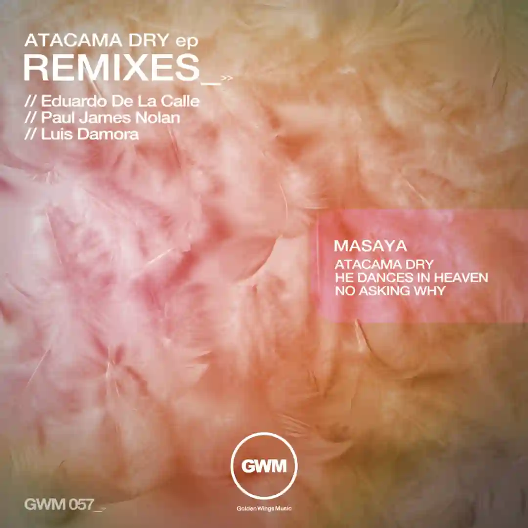 Atacama Dry (Paul James Nolan Remix) cover