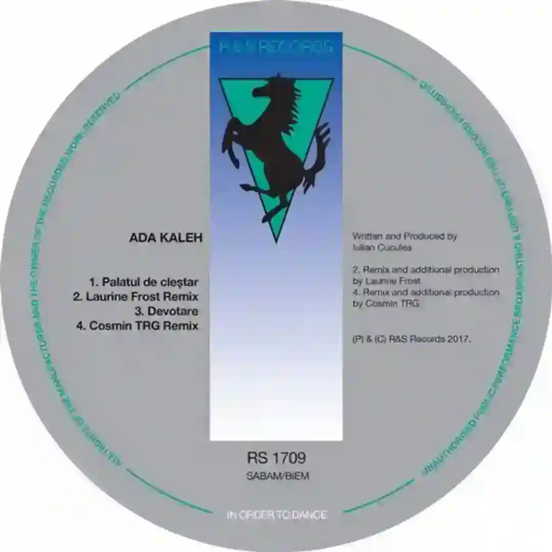Palatul De Clestar (Original Mix) cover