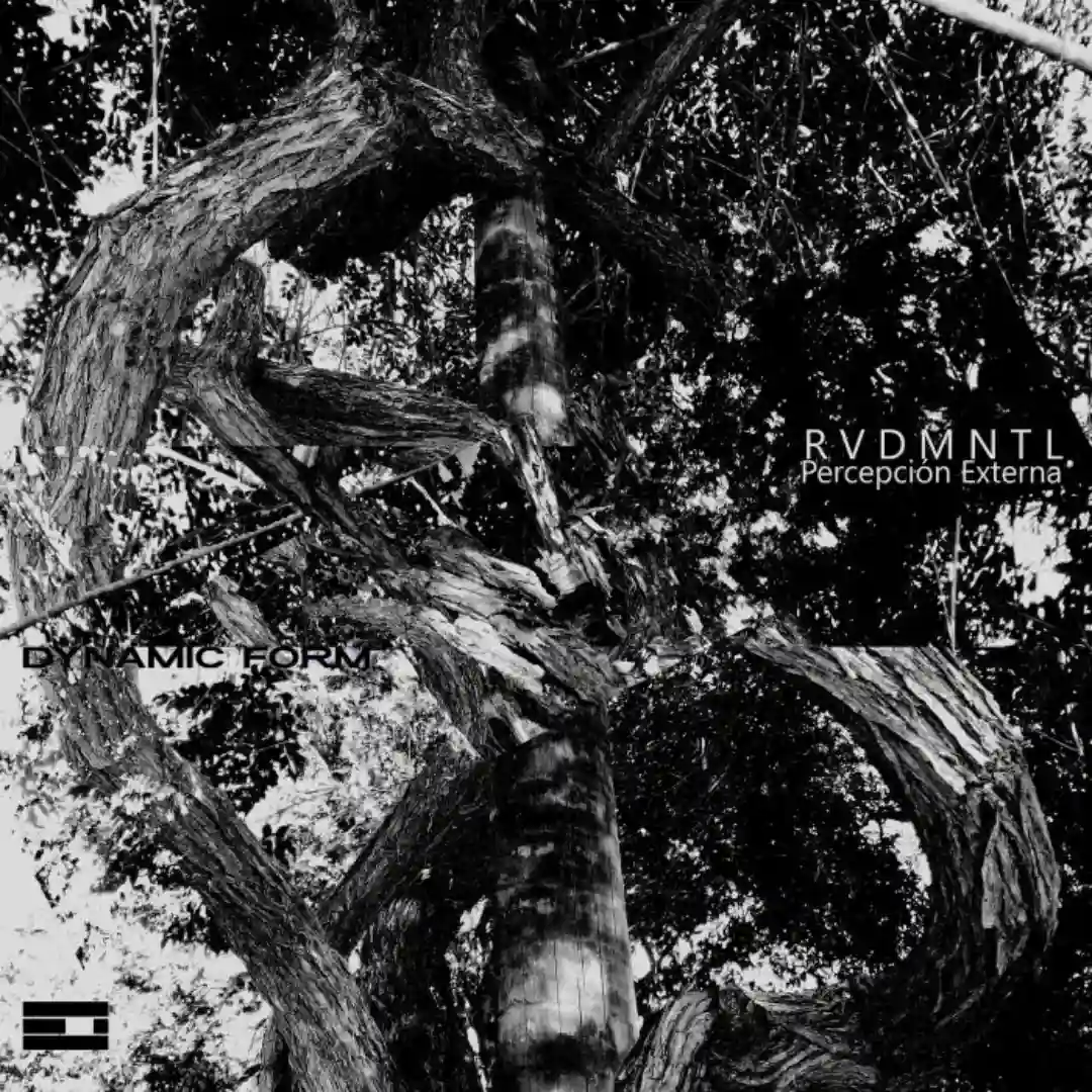 Ecos de un Pacto Roto (Original mix) cover