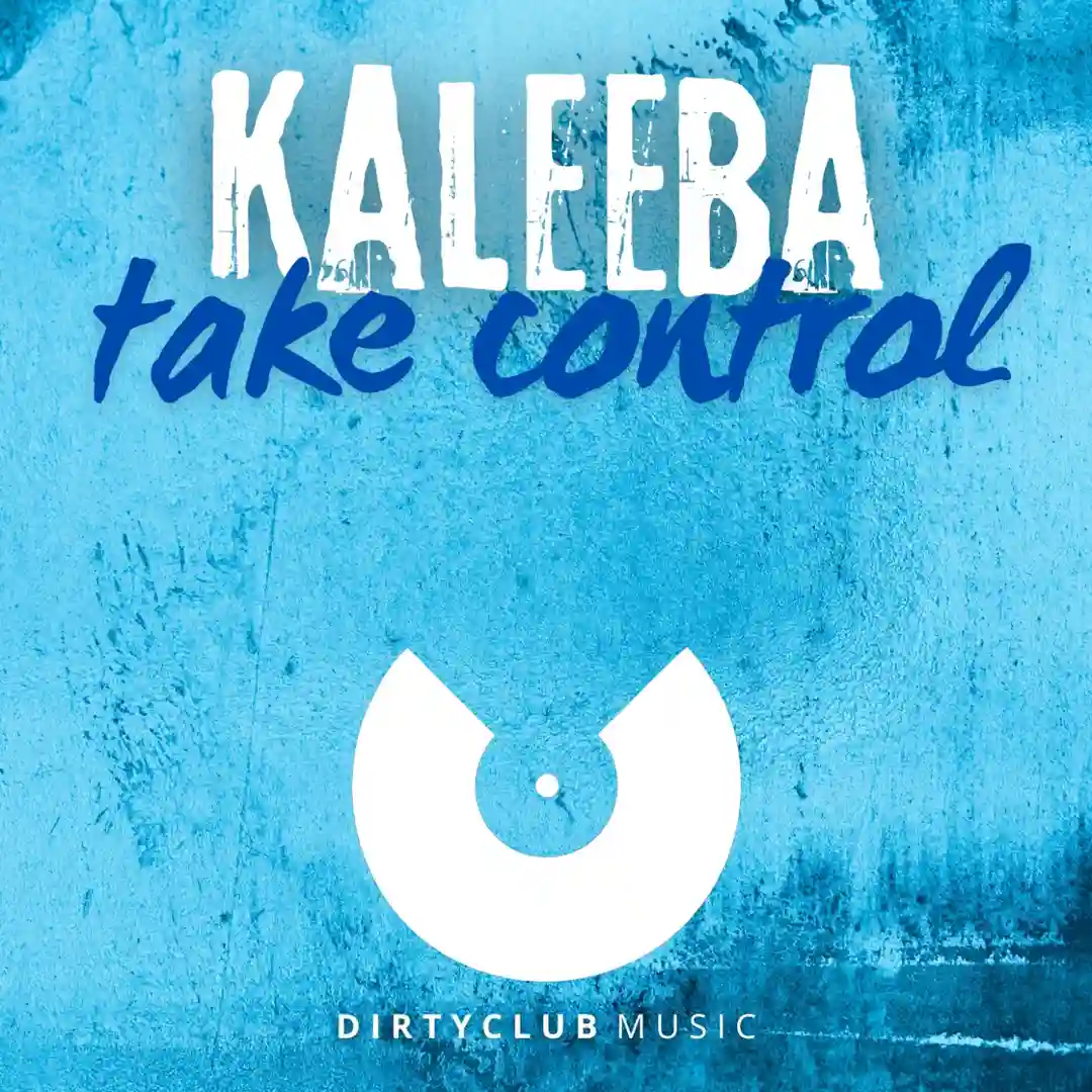 Take Control (Original Mix) cover