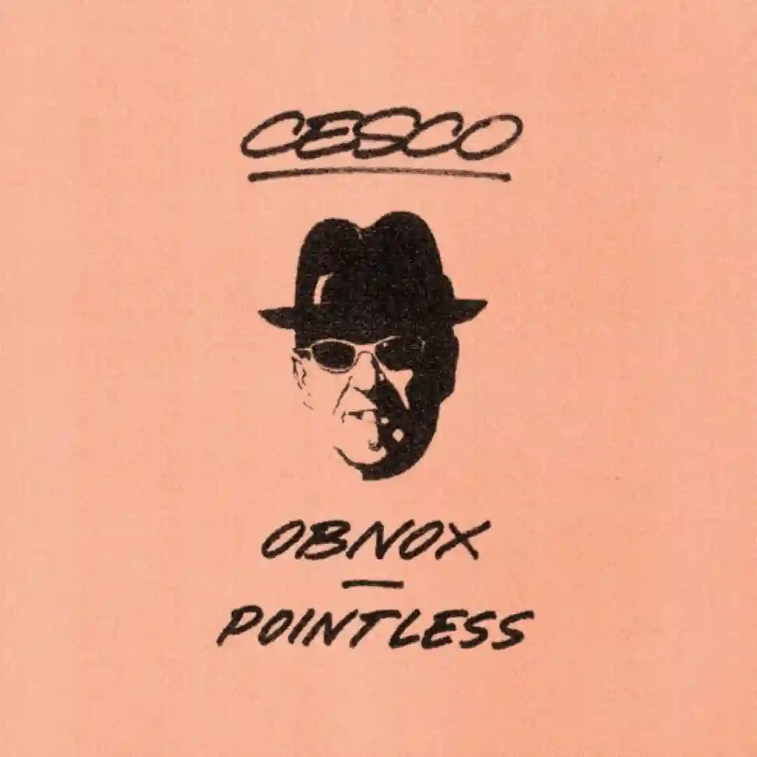 Pointless (Original Mix) cover