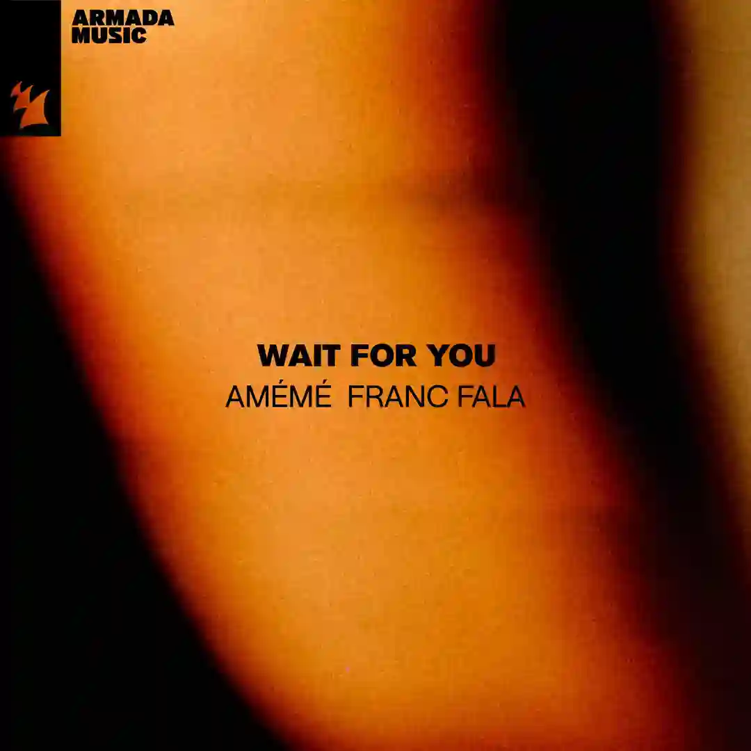 Wait For You (Extended Mix) cover