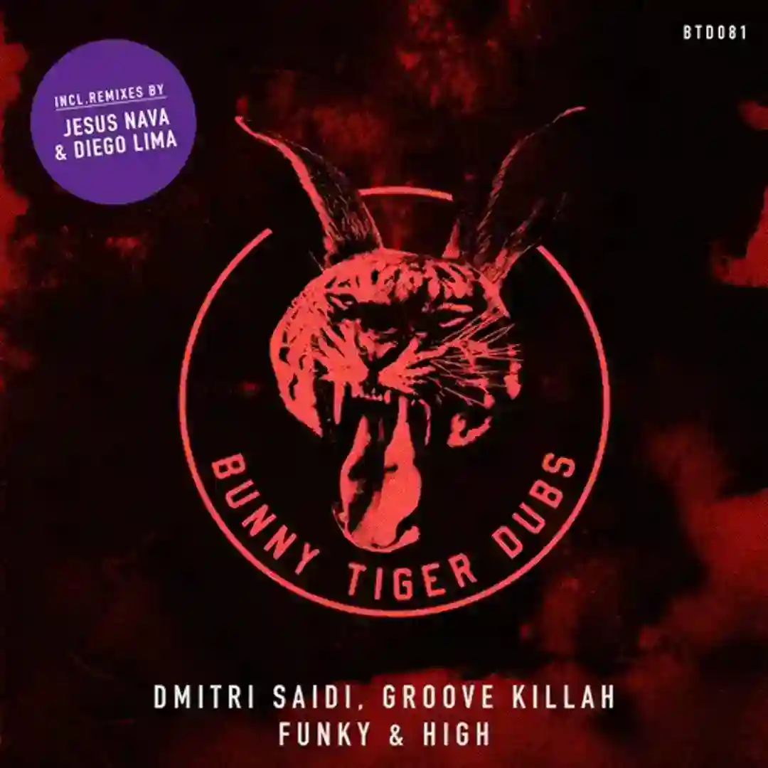 Funky & High (Diego Lima Remix) cover