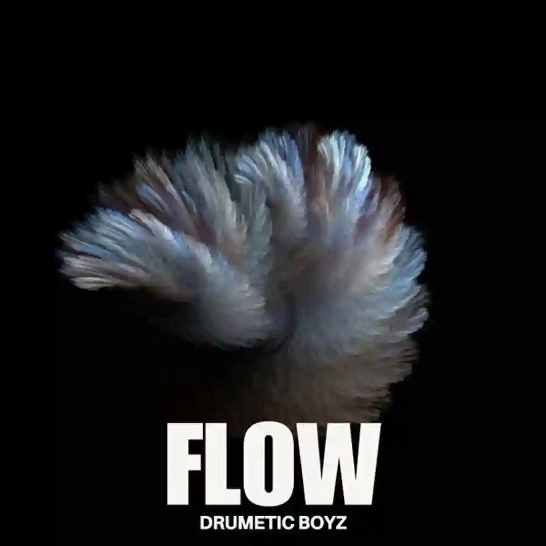 Flow (Original Mix) cover