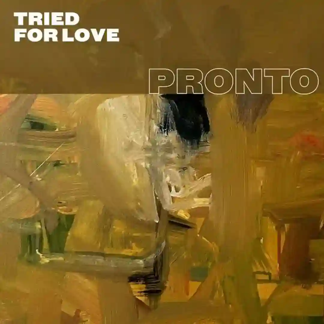 Tried for Love (Terrence Parker Remix) cover