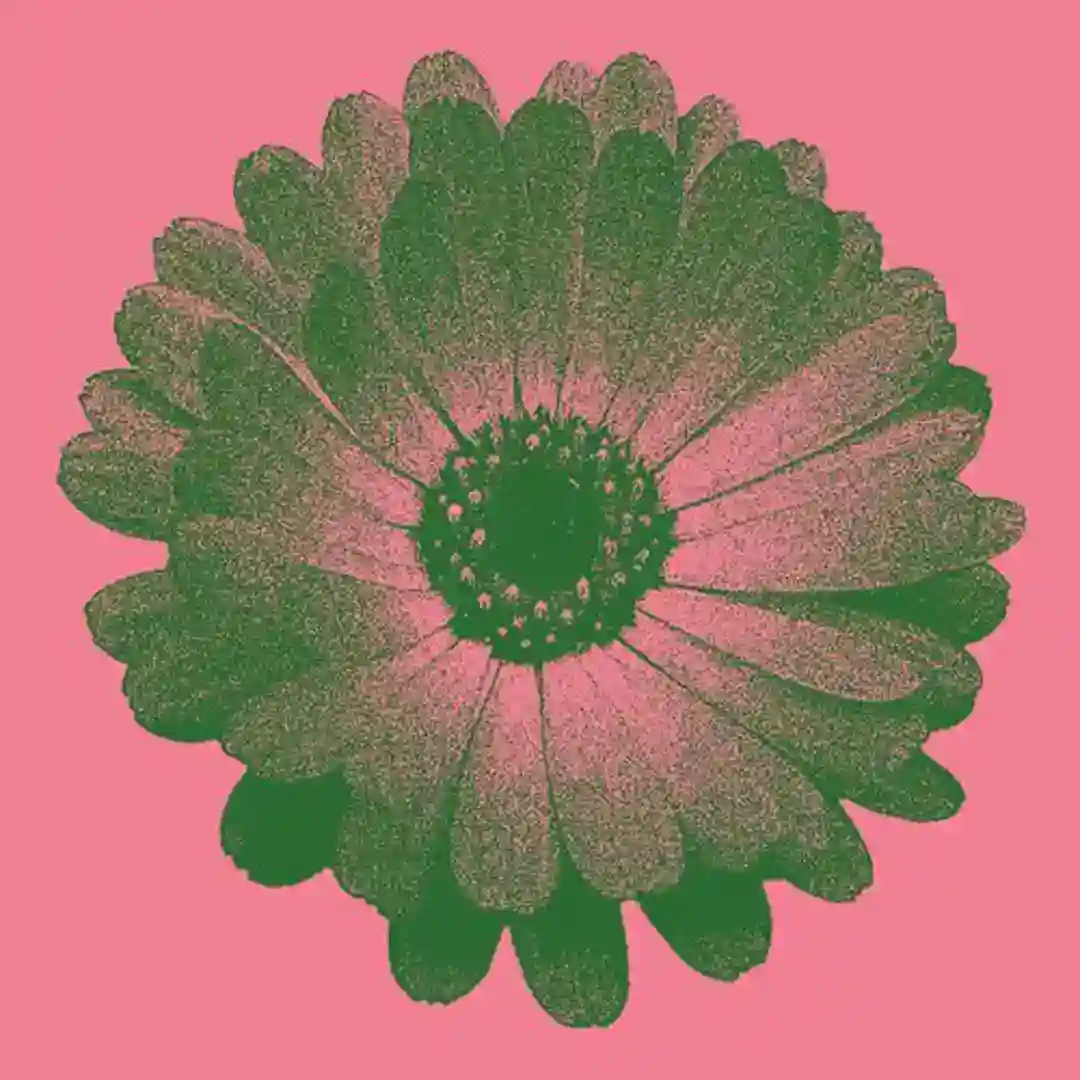 The Rising cover