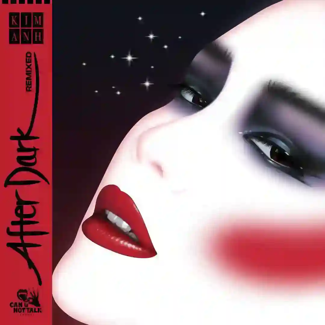 After Dark (Massimiliano Pagliara Dub) cover
