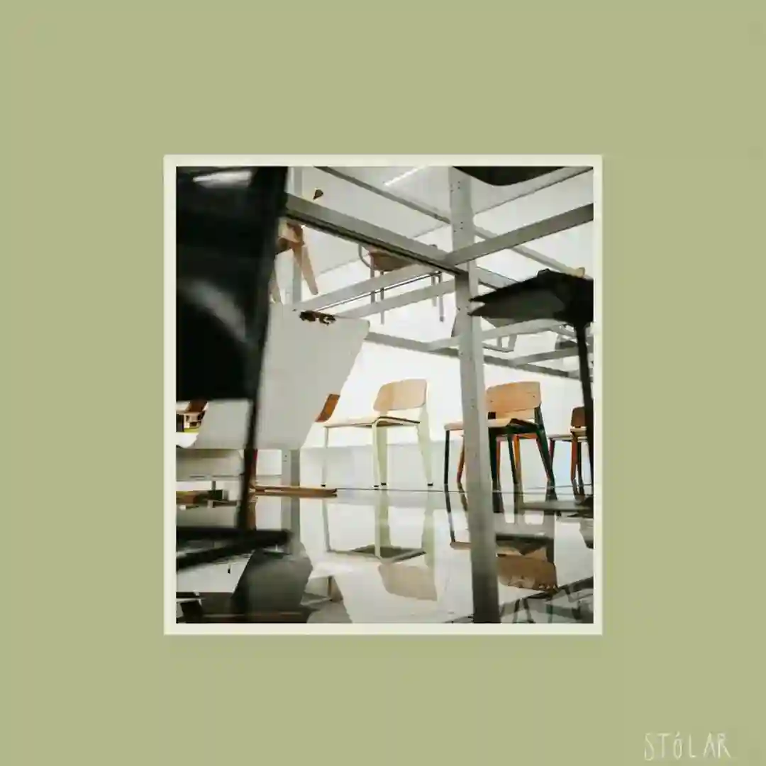 Singende Fluesse cover