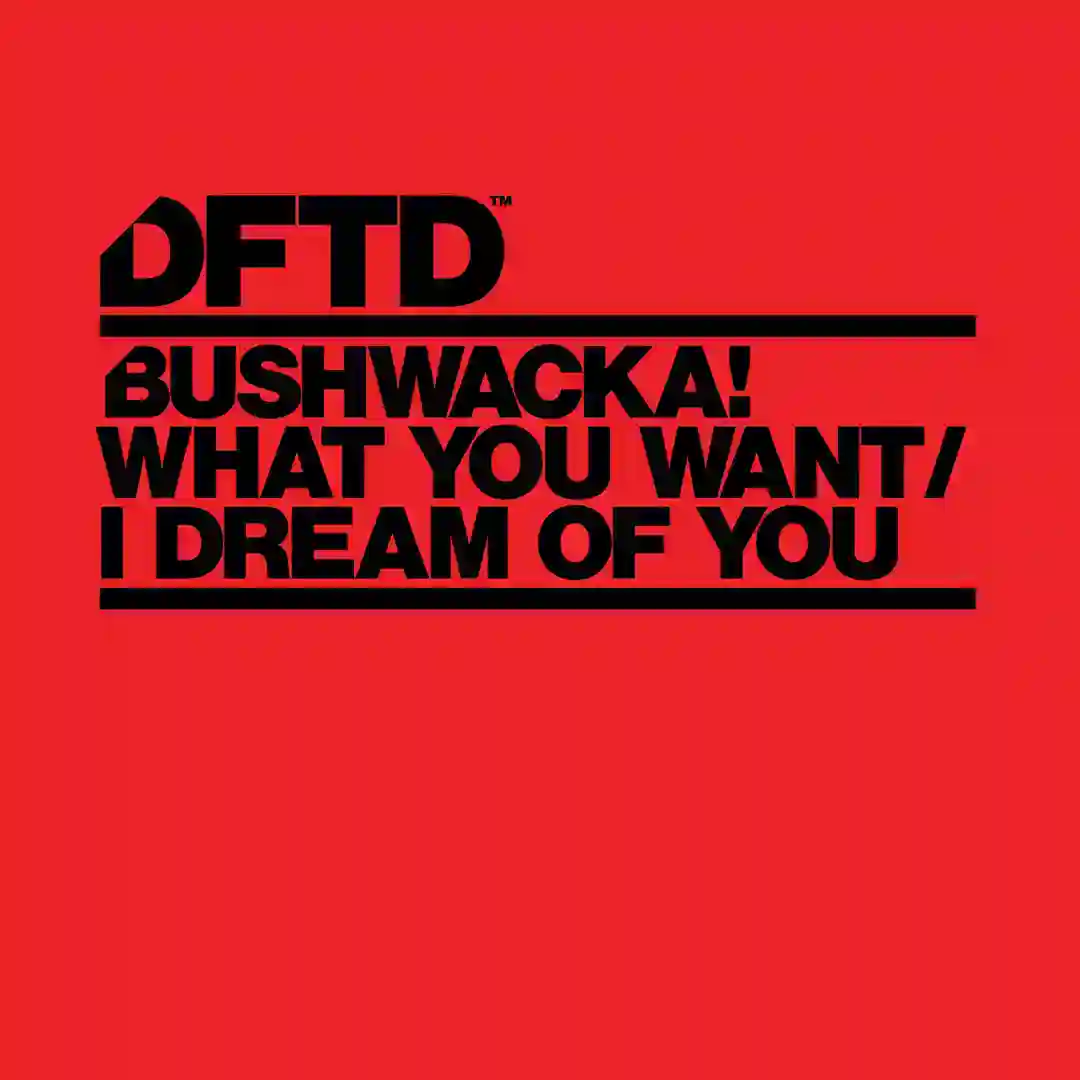What You Want / I Dream Of You cover