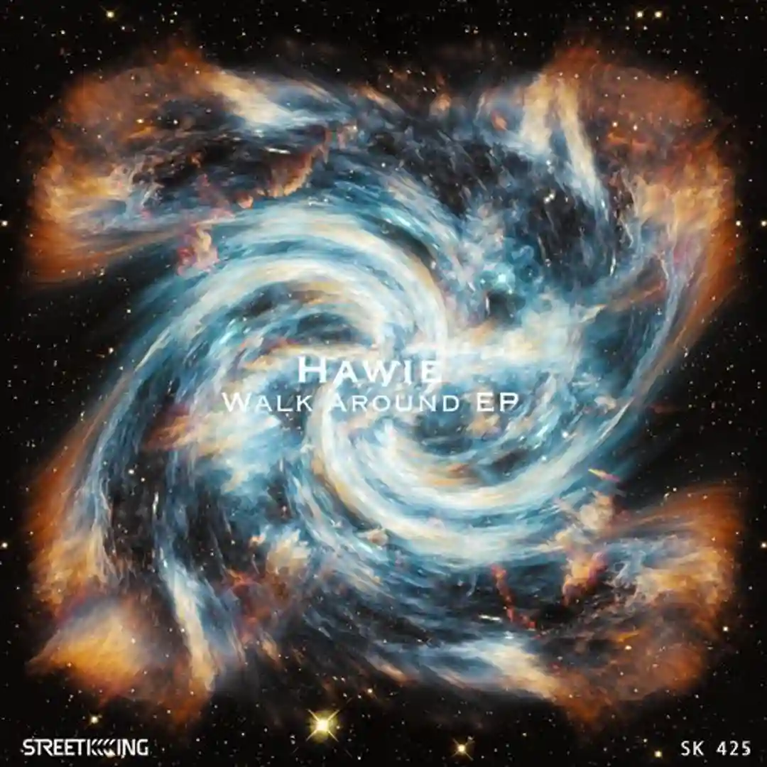 Outback (Original Mix) cover