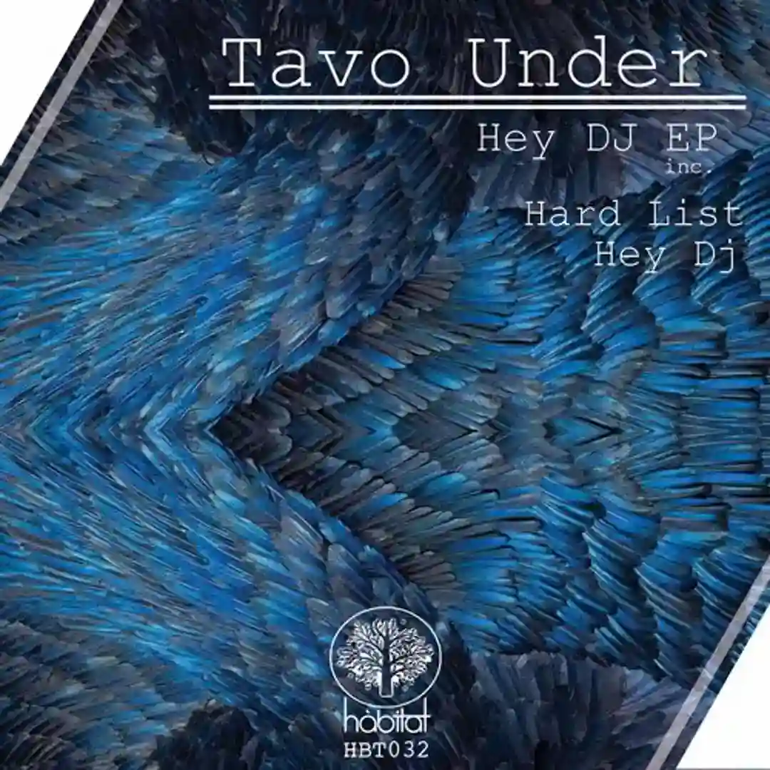 Hey Dj EP cover